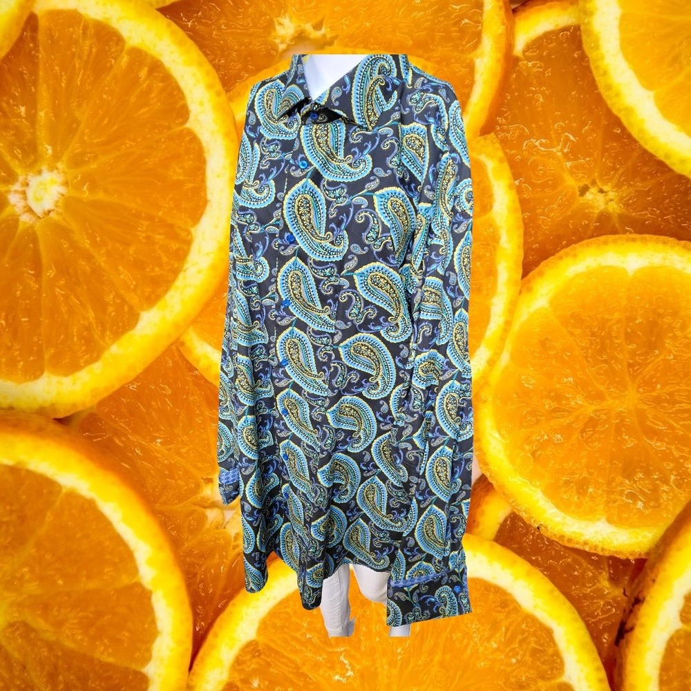 Steven Land Mens 3XLT Classic‎ Fit Button Down Shirt Long Sleeve Paisley Print